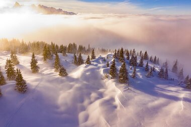 © Stefan Kothenr Photography