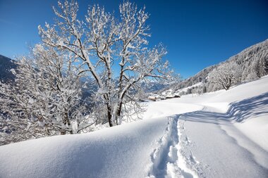 © Stefan Kothenr Photography