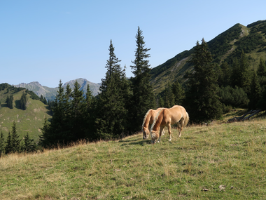 © MONTAFON TOURISMUS GMBH