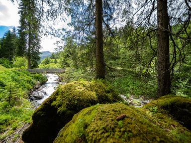 © Stefan Kothenr Photography