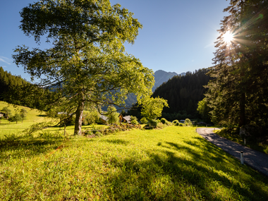 © Stefan Kothenr Photography © Stefan Kothenr Photography