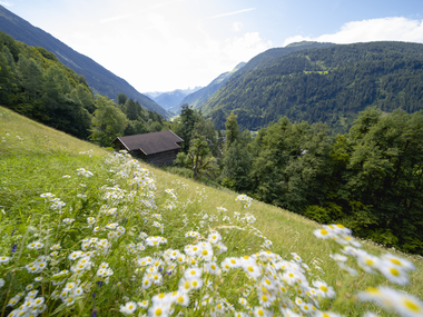 © Stefan Kothner Photography © Stefan Kothner Photography