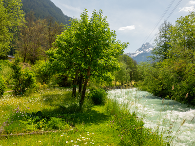 © Stefan Kothenr Photography