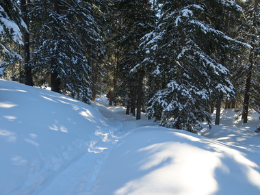 © MONTAFON TOURISMUS GMBH