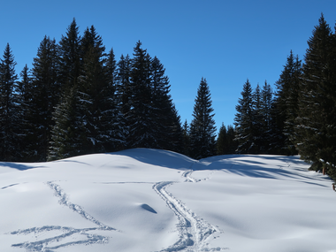 © MONTAFON TOURISMUS GMBH