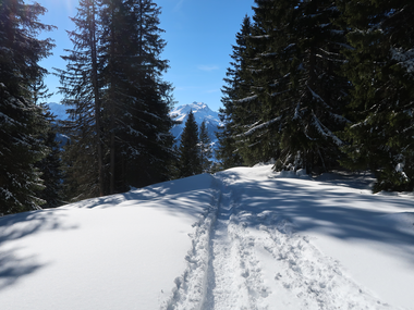 © MONTAFON TOURISMUS GMBH